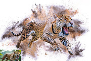 Sandstorm Effect Photoshop Action, an Action Add-On by Studio Retouch (Thumbnail 8 of 11)