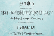 Paisley | Handwritten Font, a Script Font by Artstudio (Thumbnail 9 of 10)