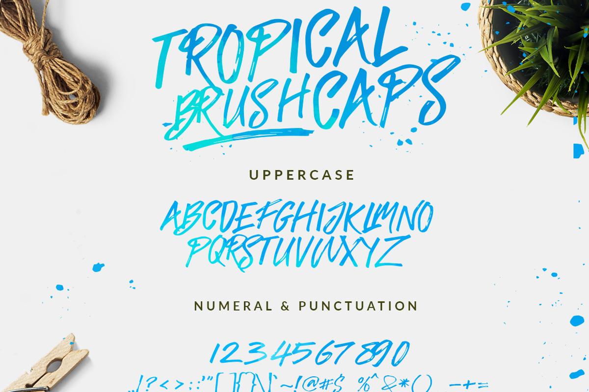SALE !!! The Tropical - 5 Fonts, a Font by Dirtyline Studio (Photo 18 of 19)
