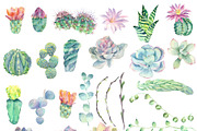Watercolor cacti and succulents, an Illustration by Watercolor arts (Thumbnail 2 of 6)