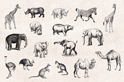 Wild Animals Engravings, an Object Graphic by Graphic Goods (Thumbnail 3 of 9)