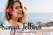 Summary | Script Font, a Serif Font by Scratchones (Thumbnail 5 of 7)