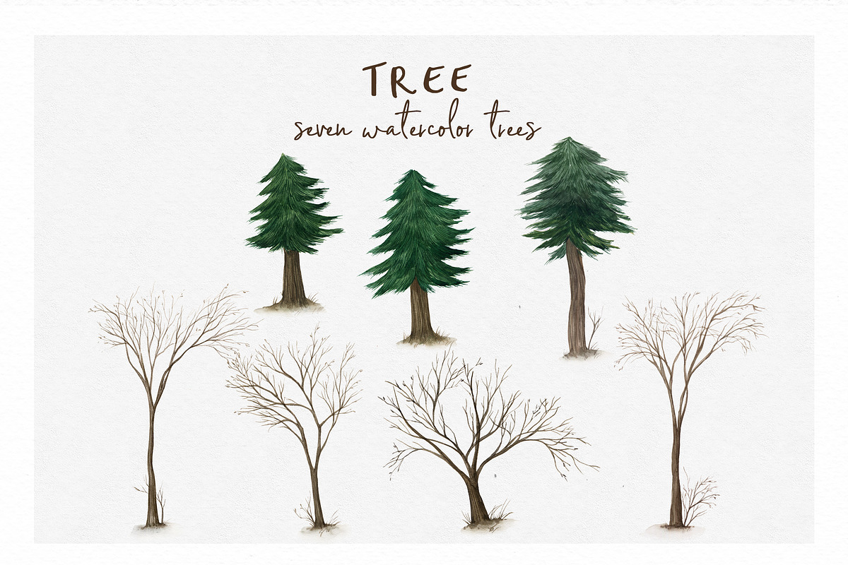 Fantastic Holiday-Winter collection, an Animal Illustration by Graphic Box (Photo 10 of 13)
