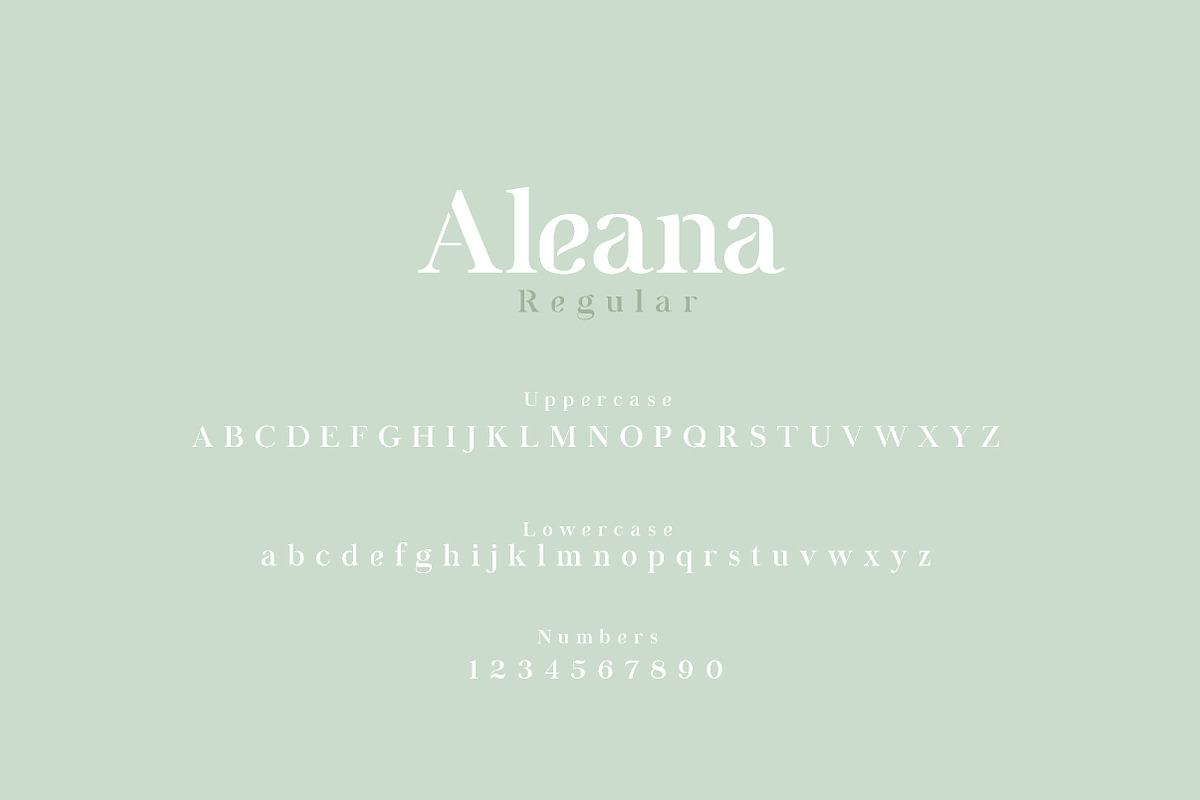 Aleana, a Serif Font by geengraphy (Photo 3 of 4)