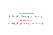Homogenic - Script Font, a Script Font by HIRO.std (Thumbnail 5 of 14)