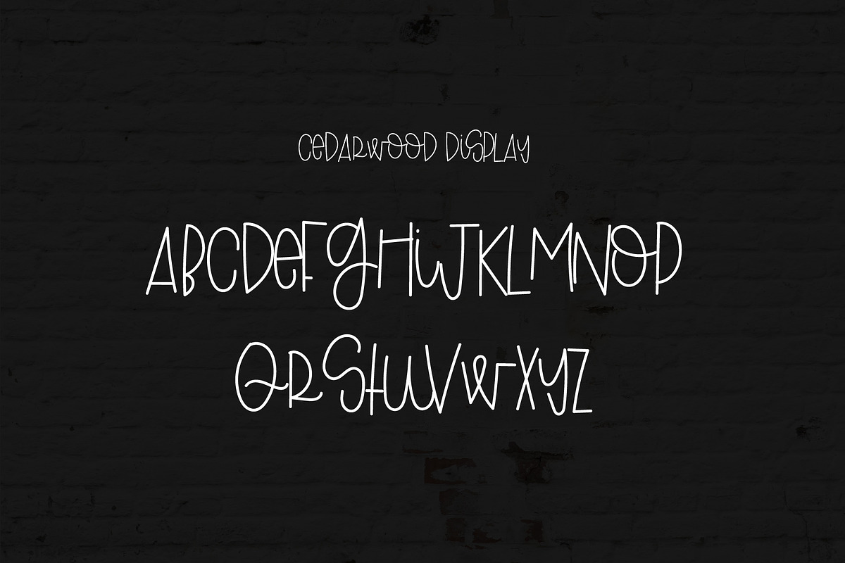 Greywood BONUS Cedarwood Display preview 4