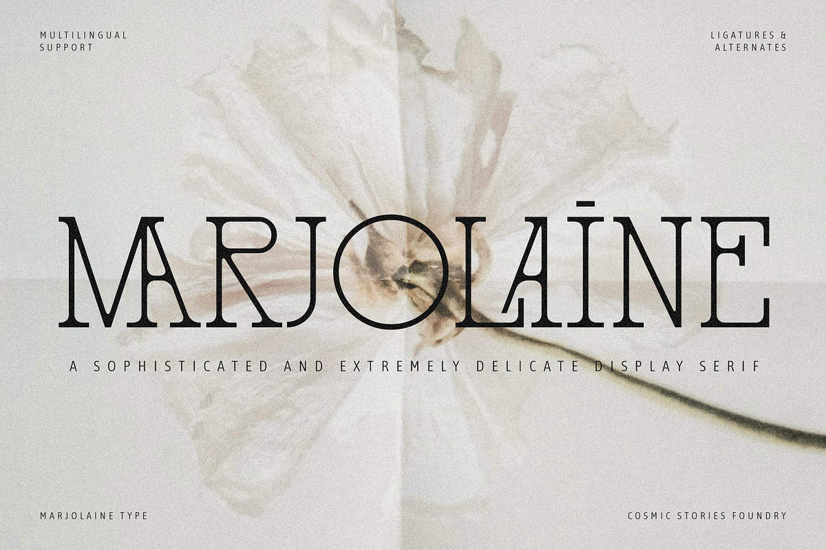 Marjolaine Type - A delicate Serif, a Serif Font by CarmineType (Photo 24 of 24)