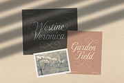 Gold Lines; Elegant Font Duo, a Script Font by Eko Bimantara (Thumbnail 16 of 20)