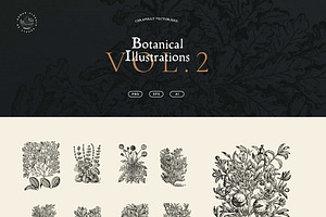 Botanical Illustrations Vol. 2