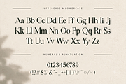 Luma Botanica - Modern Serif Font, a Serif Font by overlaytemplates (Thumbnail 4 of 5)