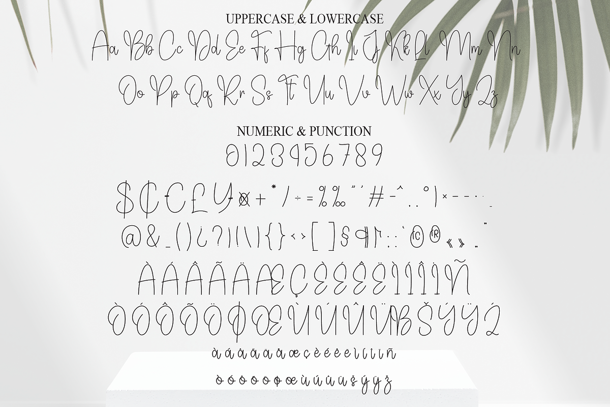 Handwritten | Script Font, a Handwritten Font by Scratchones (Photo 7 of 8)