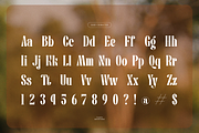 Pany Anemov | Modern Display Serif, a Font by Denustudios (Thumbnail 13 of 15)