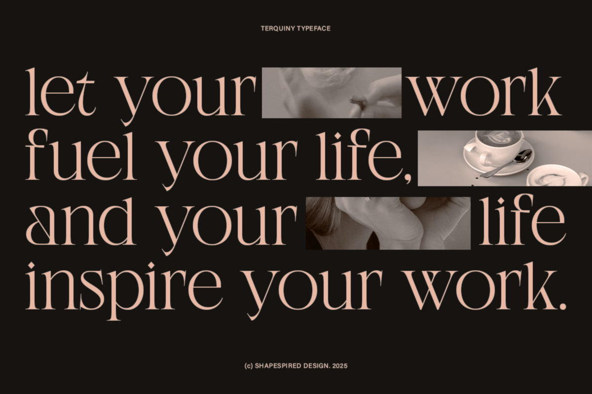 Terquiny - Modern Luxury Serif, a Serif Font by Shapespired Design (Photo 5 of 17)