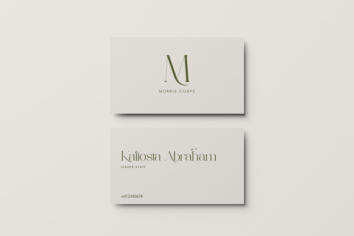 Megita - Beautiful Serif Font, a Serif Font by Aqeel_Art (Photo 7 of 12)