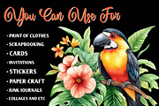 Tropical Bird Png, Jungle Bird Clipa, an Illustration by CreationArt (Thumbnail 3 of 9)