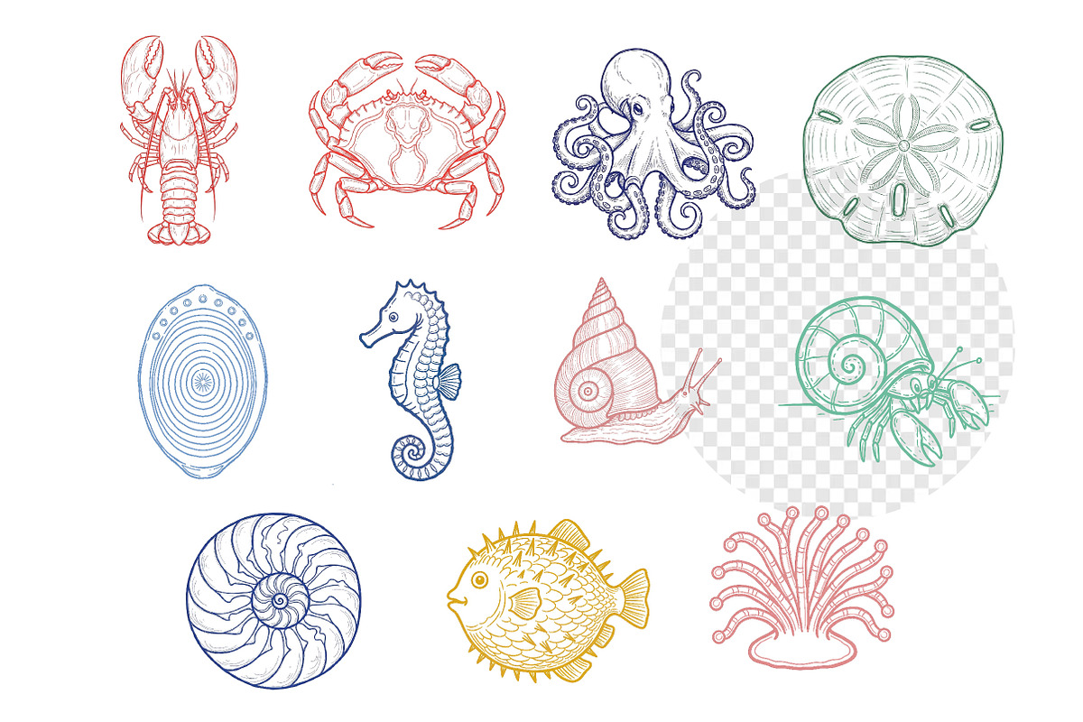 Summer Coastal Hand Drawn Line Art, an Illustration by Dream Creation (Photo 4 of 4)