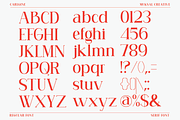 Carlgine, a Serif Font by Muksal Creative (Thumbnail 9 of 10)