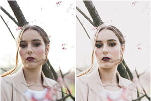 Modern/Mellow Matte Lightroom Preset