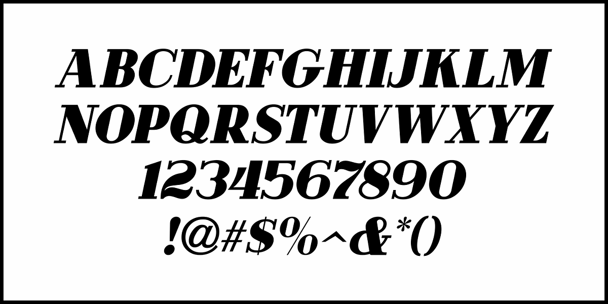 French Cinema JNL, a Serif Font by Jeff Levine Fonts (Photo 5 of 5)