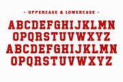 Single - Condensed Slab Serif, a Slab Serif Font by Pian45 Studio (Thumbnail 6 of 8)