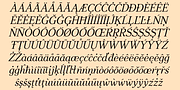 Ratafly, a Serif Font by Ingrimayne Type (Thumbnail 10 of 11)
