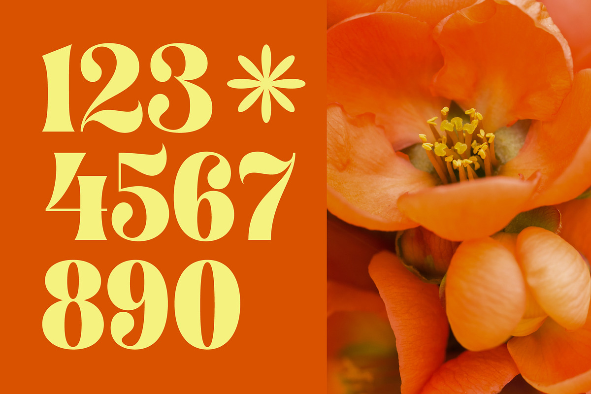Shyne Roska Groovy Retro Serif, a Serif Font by timelesstype.co (Photo 12 of 20)