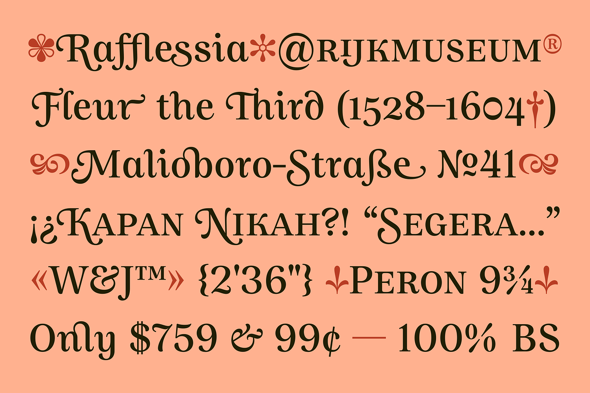 Allust Italic Font, a Serif Font by Halfmoon Type (Photo 2 of 11)
