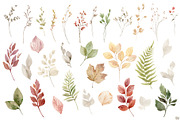 Watercolour Delicious Autumn., a Decorative Illustration by Elena Medvedeva (Thumbnail 6 of 10)