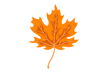 Illustration of maple leaf., a Seasonal Illustration by incomible