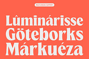 TNSC Means - Heavy Serif, a Serif Font by The Native Saint Club (Thumbnail 4 of 12)
