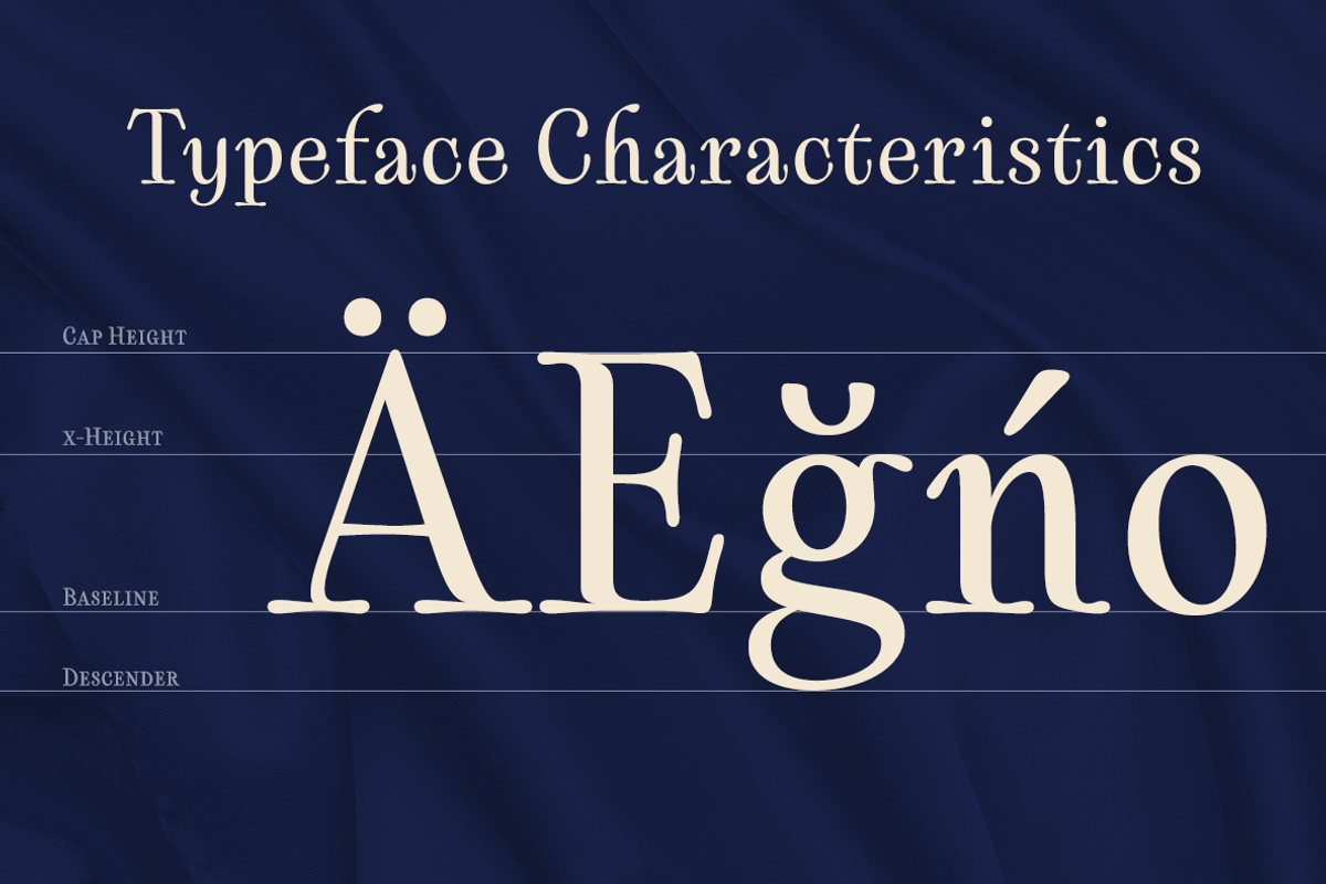 Cartes, a Serif Font by insigne (Photo 3 of 5)