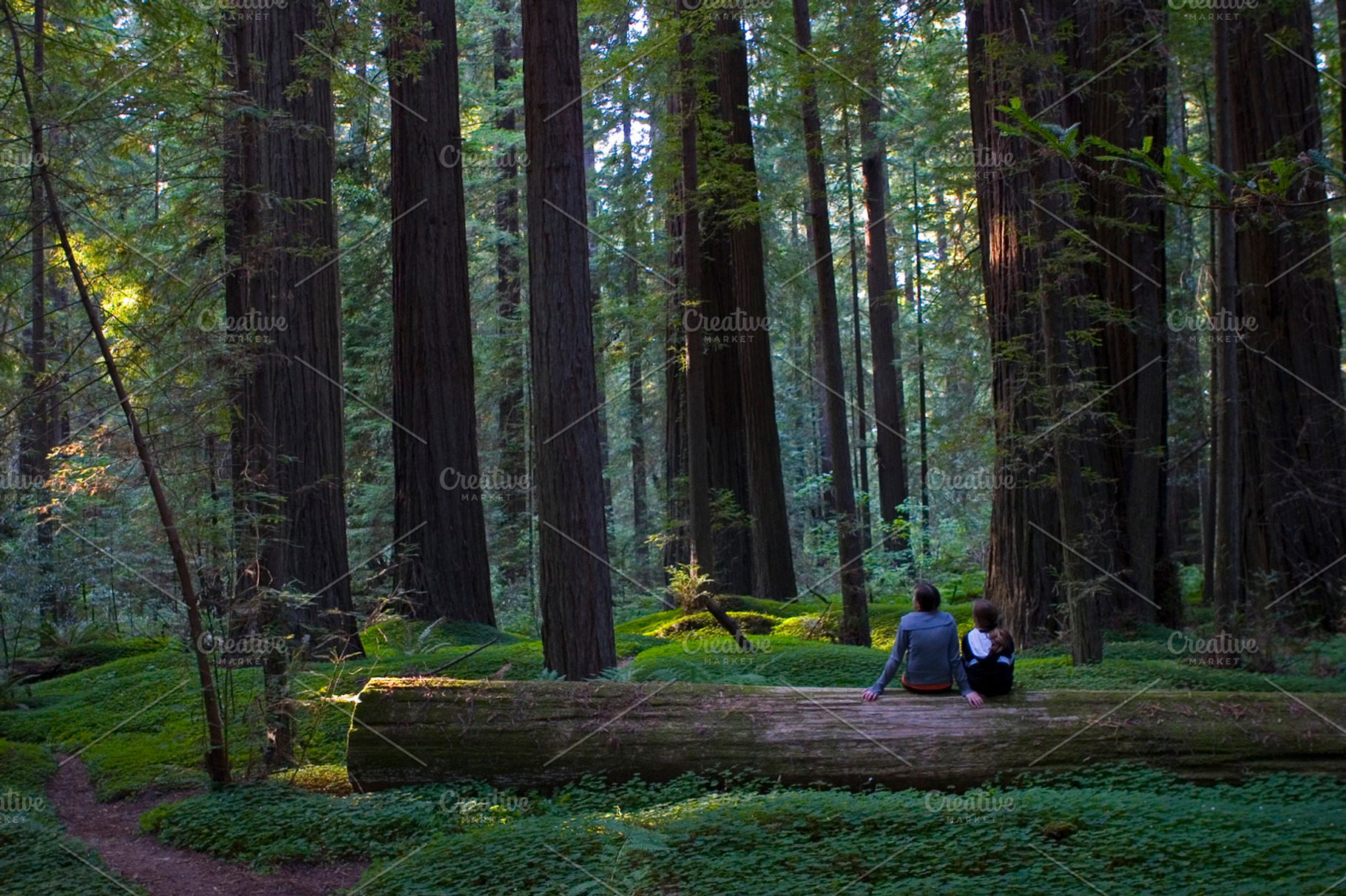 Waiting For Fairies