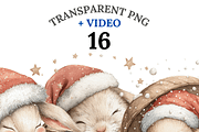 16 Christmas Bunny Clipart, a Decorative Illustration by Pati Charm Studio (Thumbnail 1 of 8)
