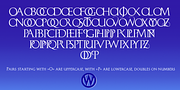 Monogramma, a Serif Font by Wiescher-Design (Thumbnail 9 of 14)