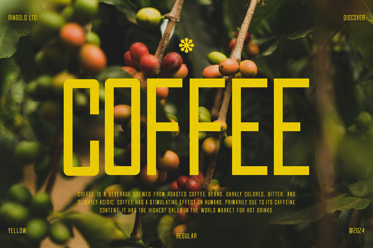 Rector, a Sans Serif Font by Lemockup (Photo 6 of 13)