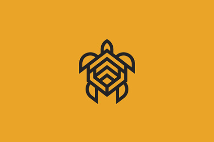 Turtle logo design.