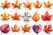Watercolor Autumn Leaf Clipart, an Illustration by CraftArtStudio (Thumbnail 1 of 6)