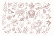 Spring Flowers Collection, an Illustration by adehoidar (Thumbnail 2 of 9)