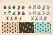 Folk Art Beetles Vector Collection, a Decorative Illustration by Neliakott ♥ (Thumbnail 2 of 12)