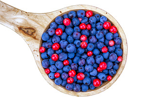 Bowl of wild berries isolated, a Food & Drink Photo by BOOCYS
