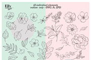 Modern Floral Graphic Collection, a Decorative Illustration by Elly Studio (Thumbnail 11 of 12)