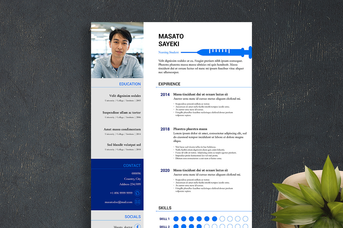 6 InDesign Resume Templates, a Resume Template by Halfcircle (Photo 2 of 6)