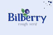 Bilberry rough serif font, a Serif Font by Art pages (Thumbnail 1 of 10)