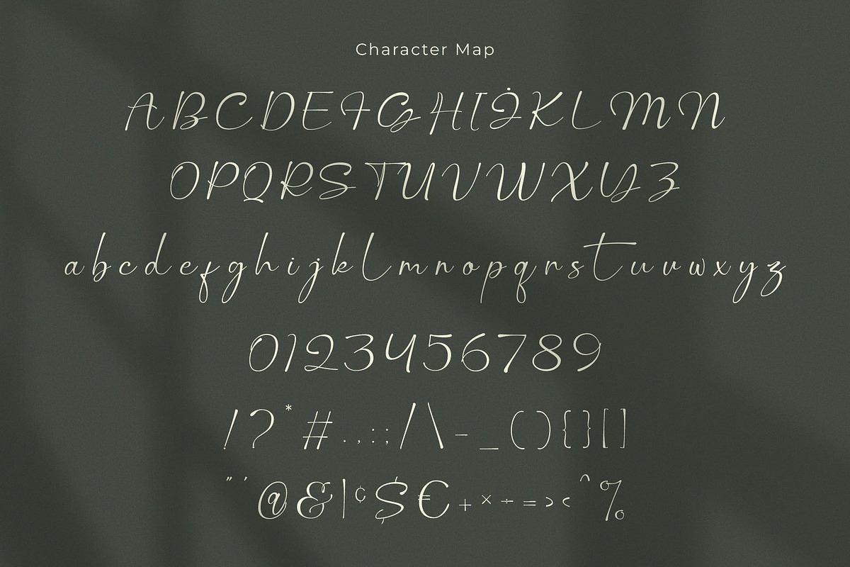 Thalian – Elegant Stylish Signature, a Handwritten Font by BrandSemut (Photo 10 of 11)