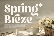 Mellow Spirit - Modern Retro, a Serif Font by Annivers Type (Thumbnail 3 of 10)