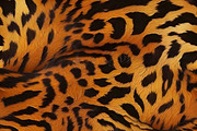 Safari Animals Skin Print Texture, a Graphic by UniqueMe (Thumbnail 17 of 21)