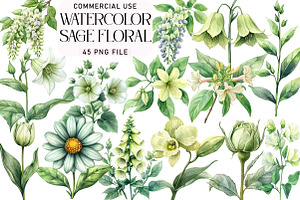 Watercolor Sage Floral Clipart, an Illustration by Daily.Designs