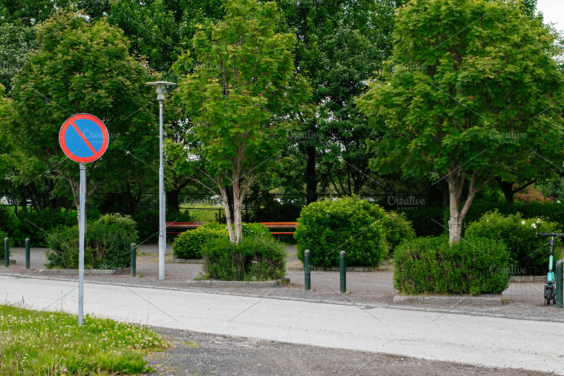 Street park area with trees and no parking sign in Reykjavik, Iceland, a Photo by AS photostudio