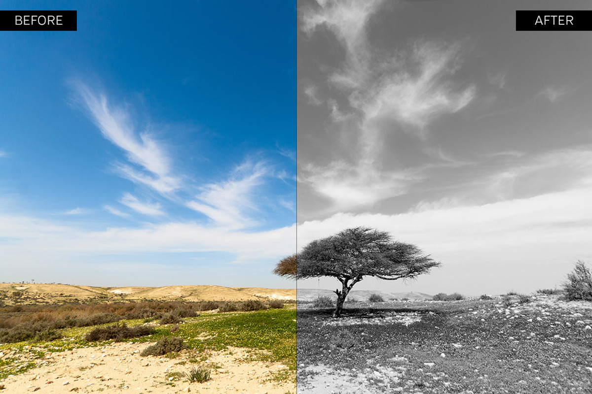 Black & White Lightroom Presets preview 5