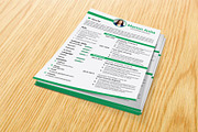 Professional Resume / CV Template, a Resume Template by designvillage (Thumbnail 4 of 11)